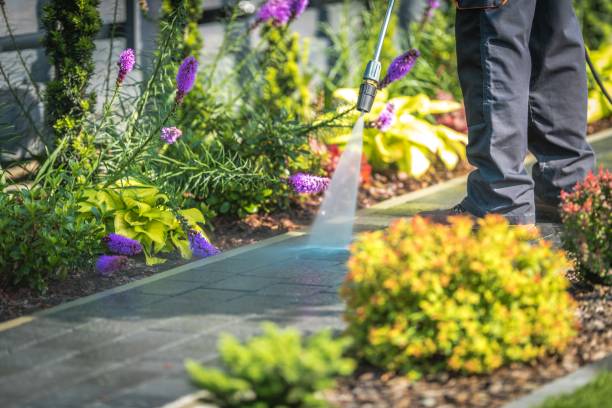 Best Animal Enclosure Cleaning  in Ralston, NE